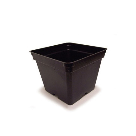 4.00 Square Deep Vacuum Plt (press fit)  black 450/cs - Square Pots